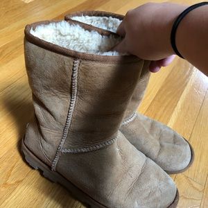 Short Chestnut Uggs